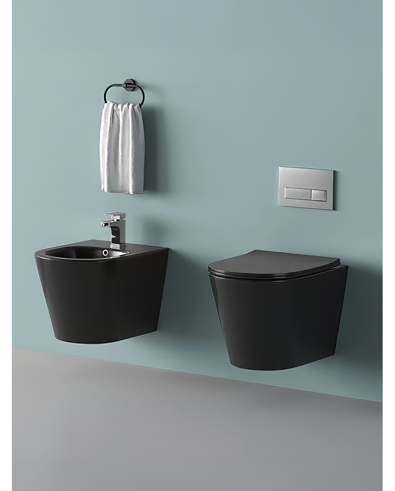 Sanita Suspensa Cato Preto Mate Rimless Soft Close | Domus Banho