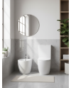 life sanita e bidet